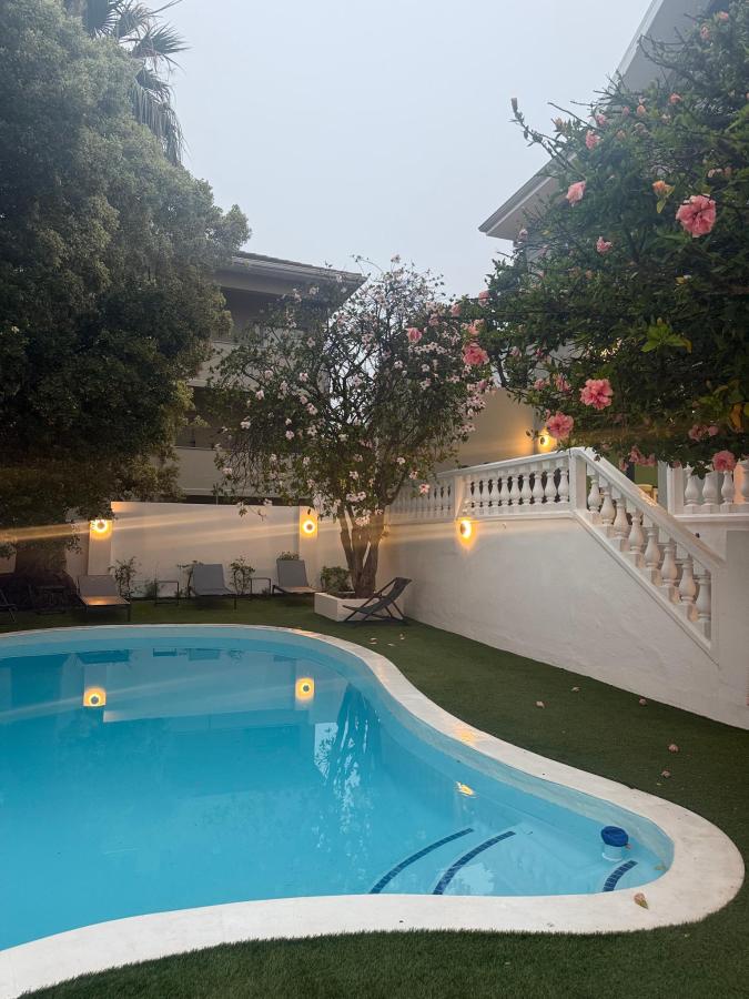 The Palm Paradise pool at dusk — garden lighting, hibiscus, and quiet calm in Cape Town